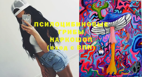 тгк Горнозаводск