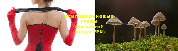 тгк Горнозаводск