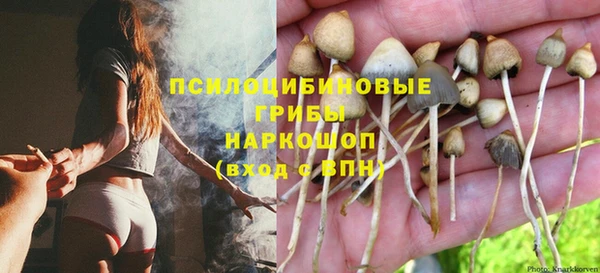 мдма Горняк