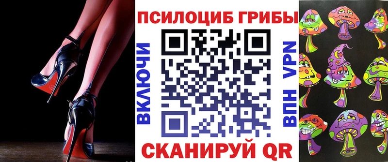 Псилоцибиновые грибы MAGIC MUSHROOMS  где купить   Моршанск 