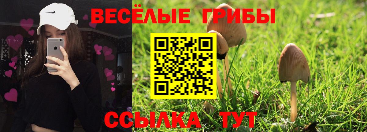 Галлюциногенные грибы прущие грибы Моршанск