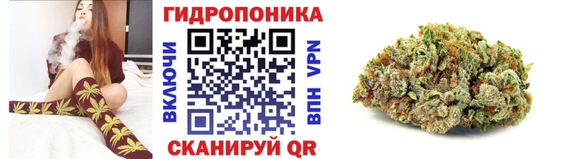 МАРИХУАНА White Widow  купить наркотики цена  Моршанск 